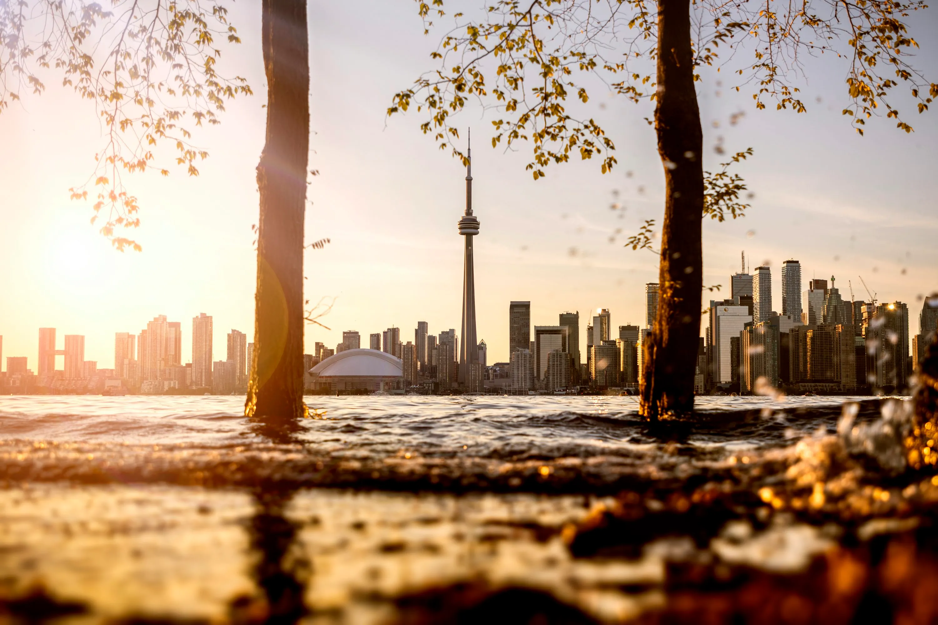 Study in Canada