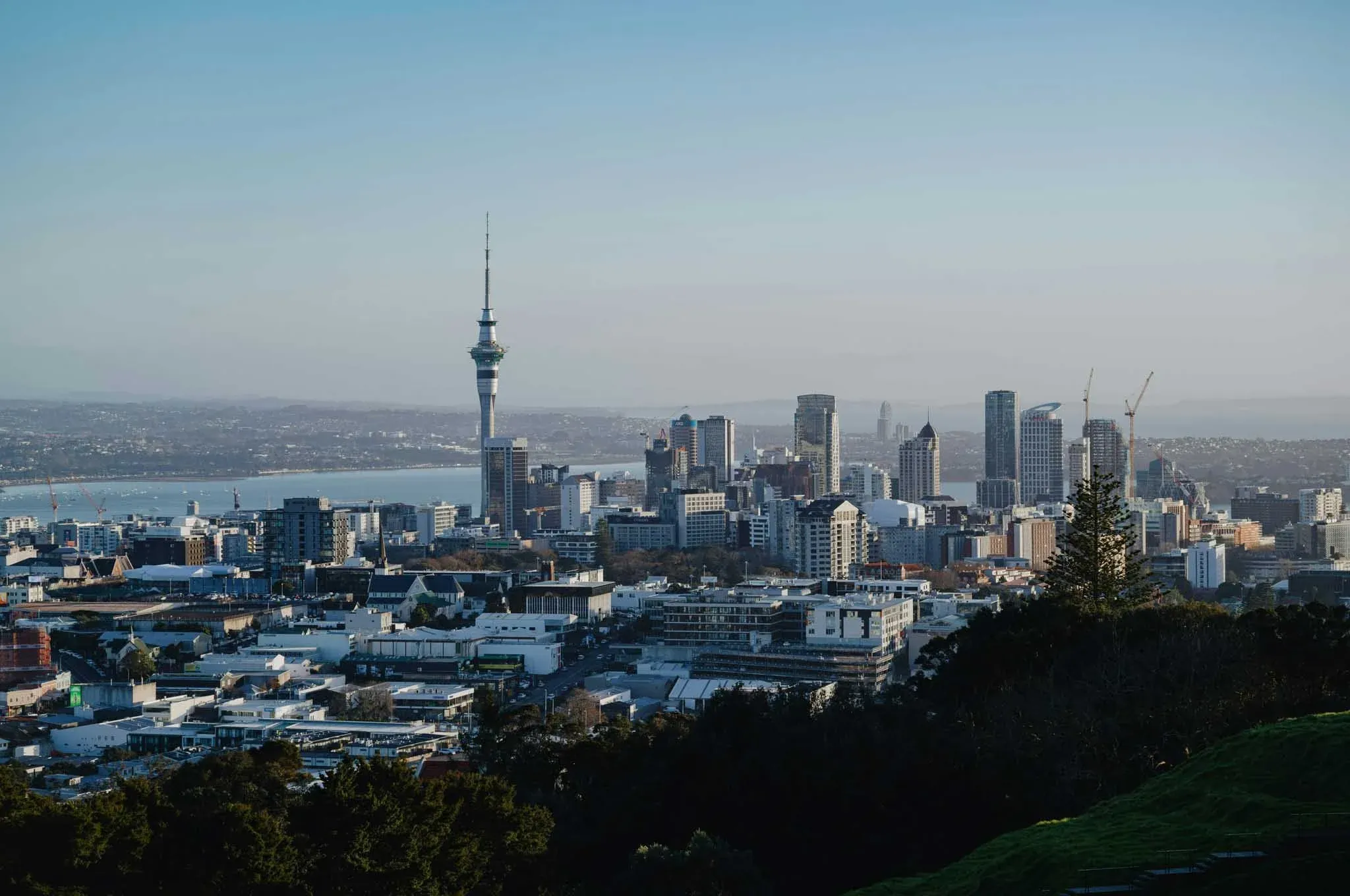 Study in New Zealand